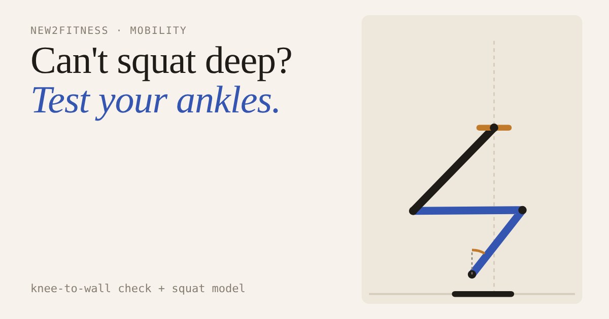Side-view stick figure of a squat with the shin angle marked and the bar over mid-foot