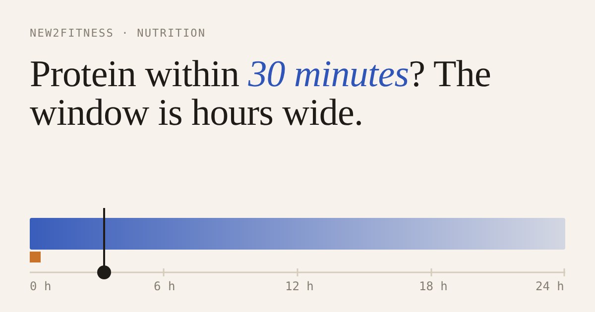 A 24-hour timeline bar fading from blue to pale, with a marker a few hours in showing a protein meal well inside the window after training